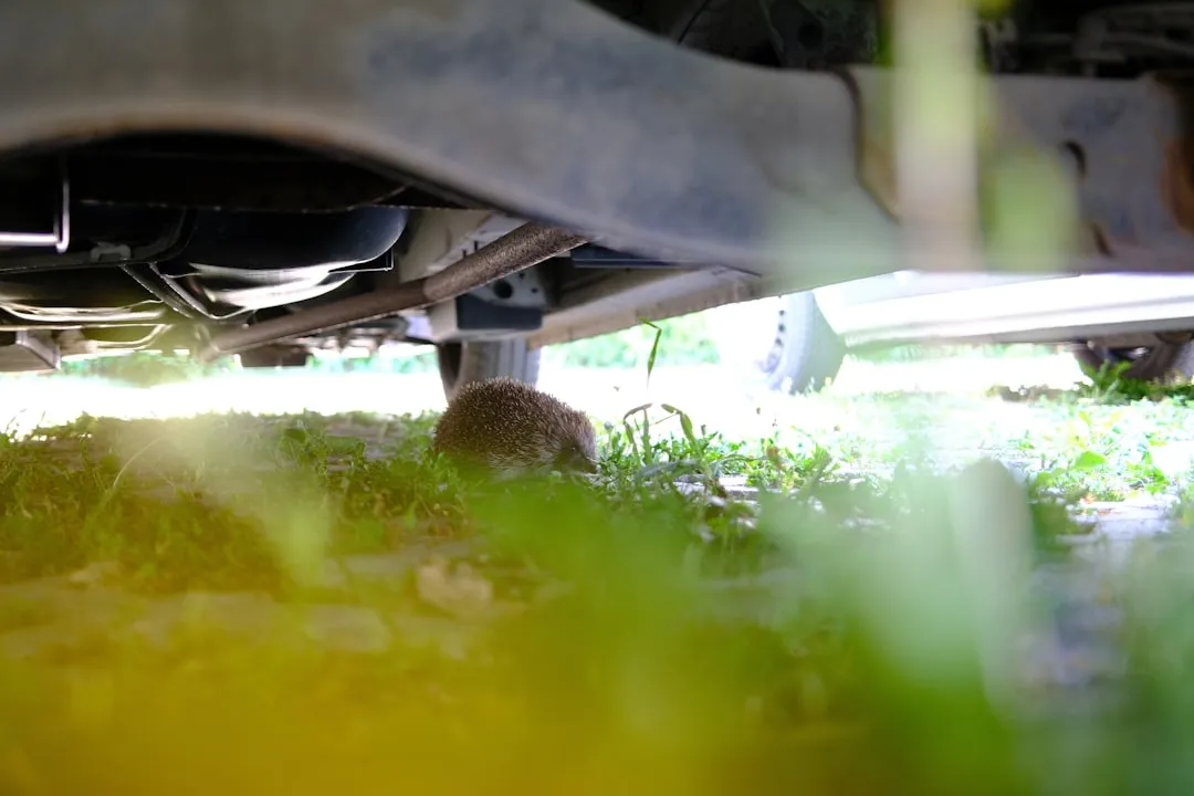 新车选购指南：大车车平台核心服务内容与适用购车场景详解正文配图 2