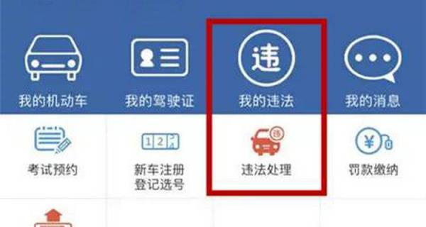 交警开罚单12123怎么查不到信息