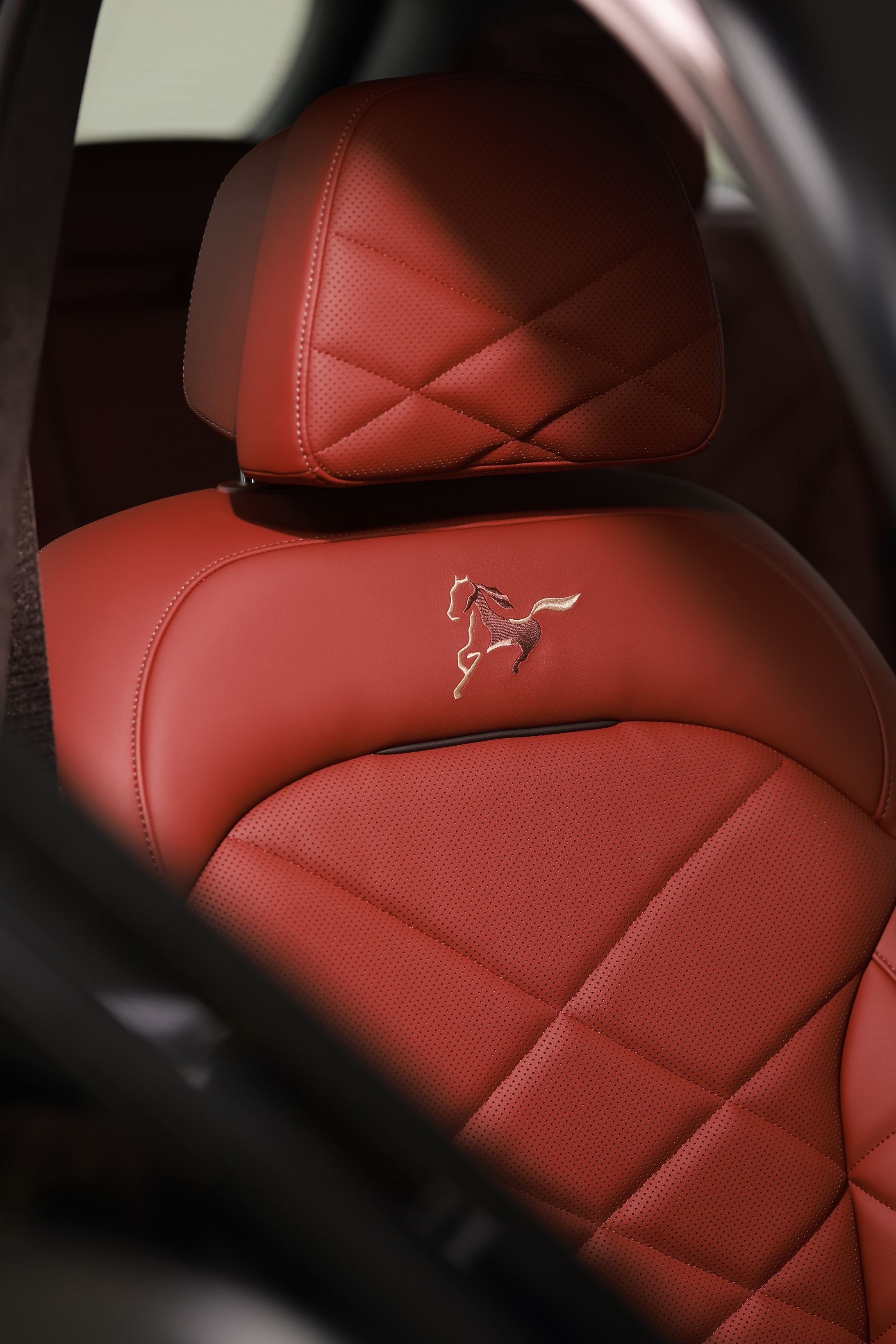 揭秘：马年是宝马的什么年？立春当天高乐剧透-独家资讯6