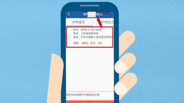 违章结果几天能查询到