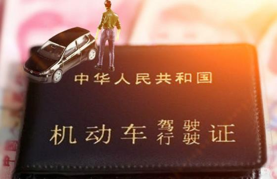 从报名到拿驾照最短时间多久