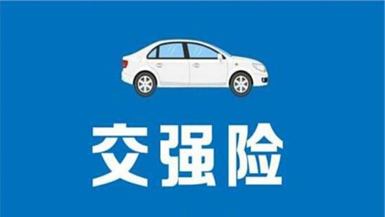 汽车交强险包括哪些内容
