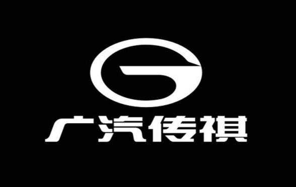 G开头的是什么车